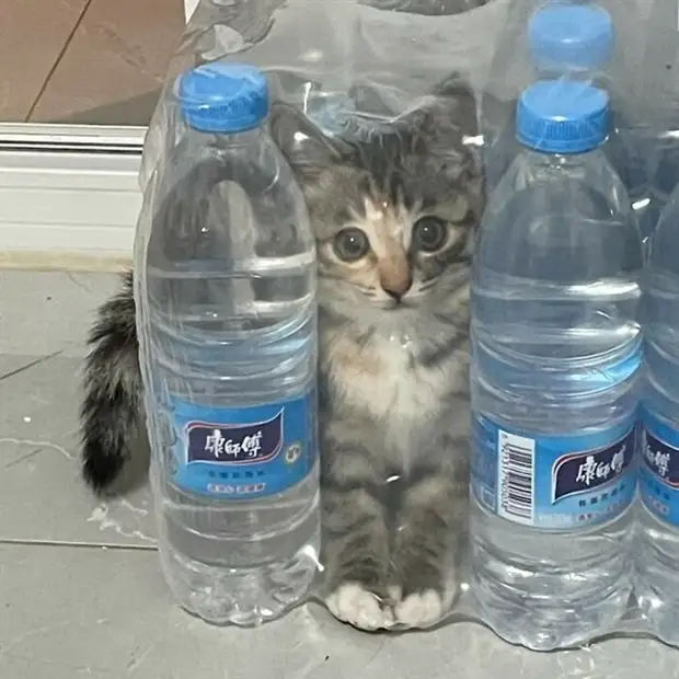 ?