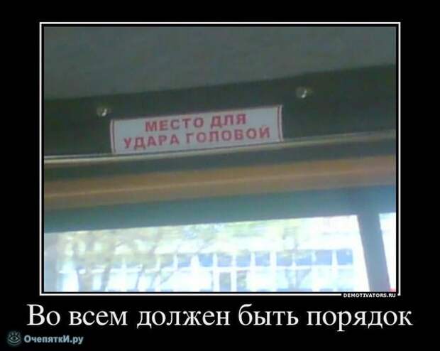 Разберись в политике 9
