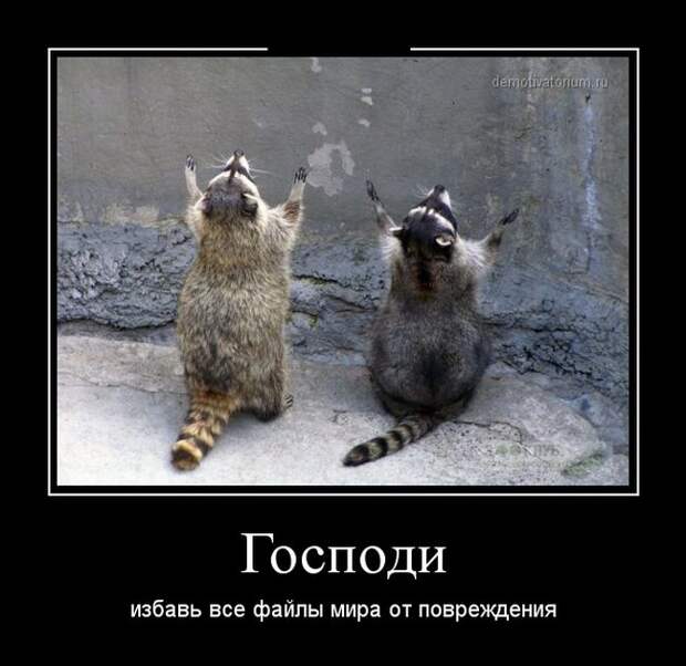 Демотиваторы демотиваторы, прикол, смех, юмор