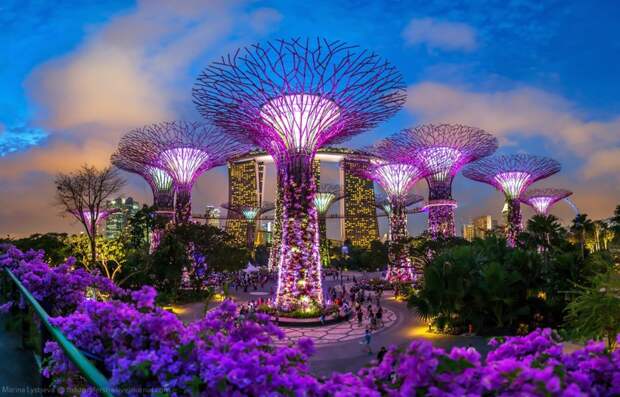 Тропический парк «Сады у залива» днем, Сингапур. красота, планета, природа, фото
