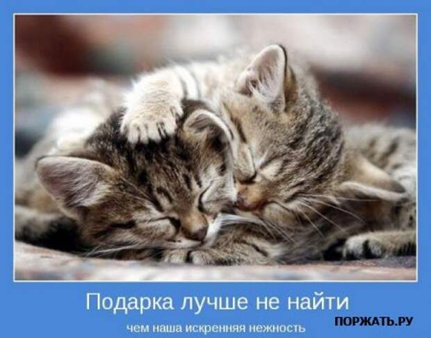 Мотиваторы (21 фото)