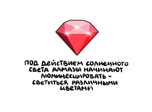 Интересные и короткие факты на все случаи жизни