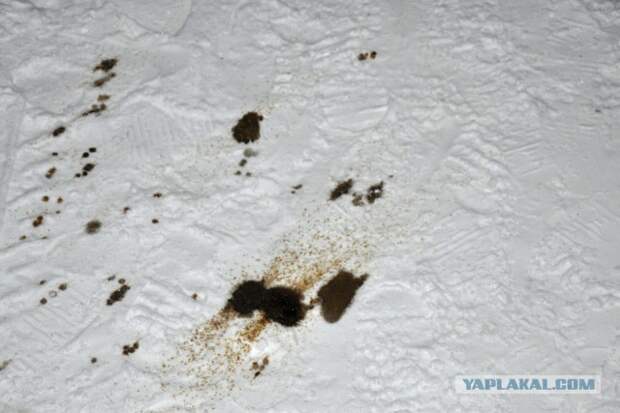Лада Веста истекла маслом в 40-градусный мороз