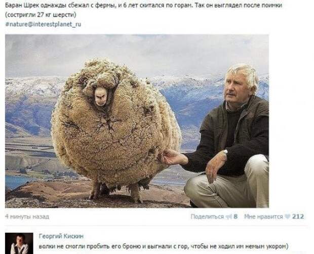 На это способны только русские... Улётные комментарии