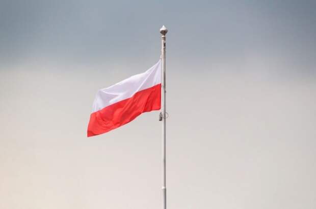 В Польше включили «Газпром экспорт» в национальный список санкций