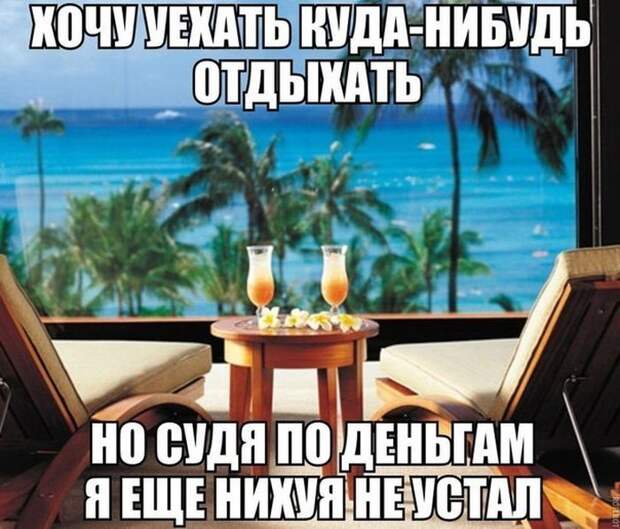 Смешные картинки с подписями  картинки, прикол, юмор