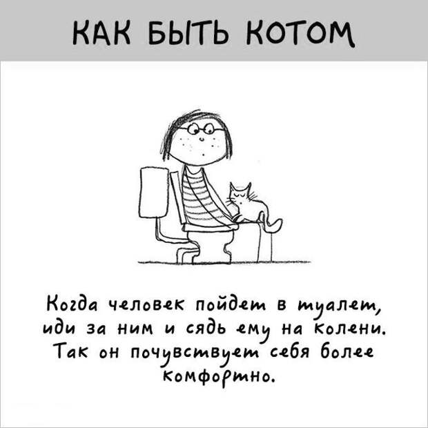 12 картинок с инструкциями о том, как быть котом инструкция, кот, юмор