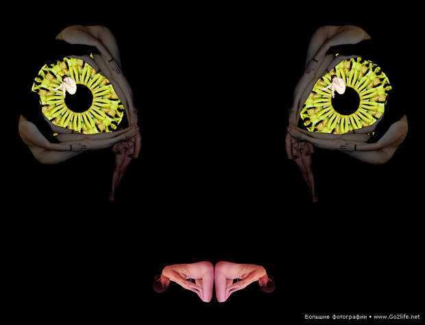 Human Bodies Art
