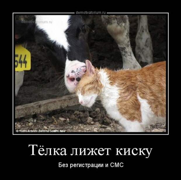 Демотиваторы на любой вкус (18 шт)