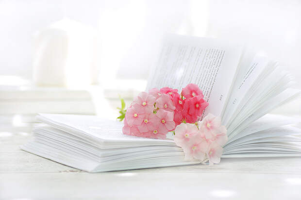 Розовые на белом III Розовые на белом III