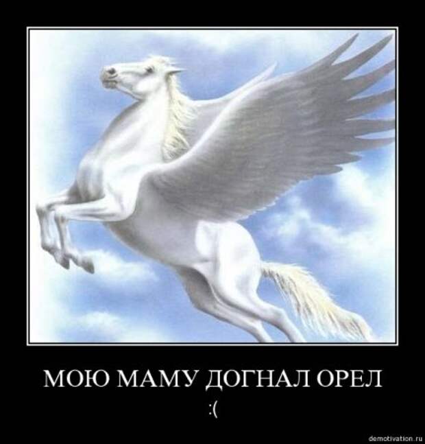 Демотиваторы, будет смешно много новых и прикольных!