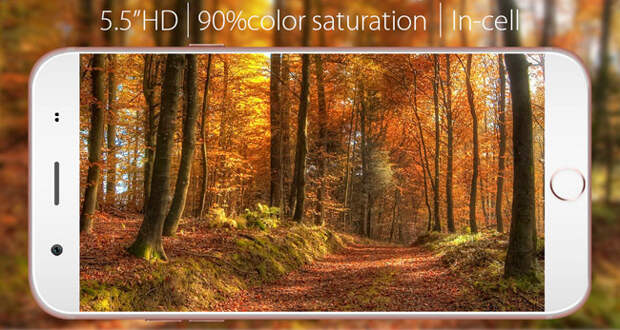 Blackview-100-8