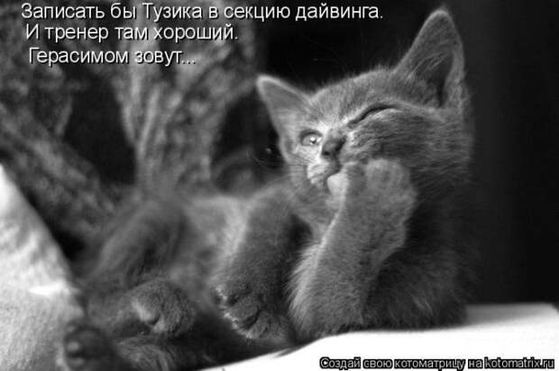 Мысли вслух :)