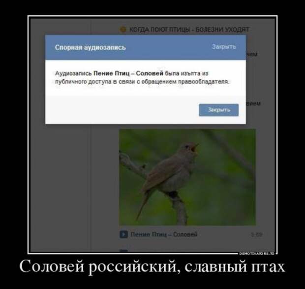 Демотиваторы-новинки (18 шт)