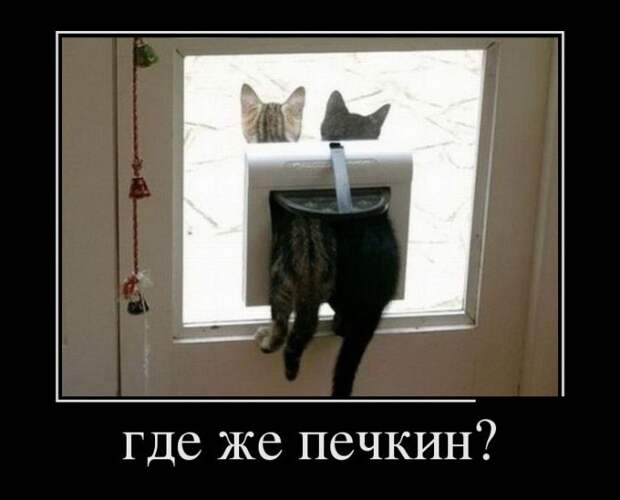Демотиваторы (30 фото)