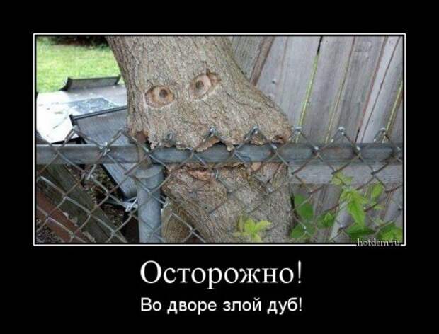 Демотиваторы-новинки (18 шт)