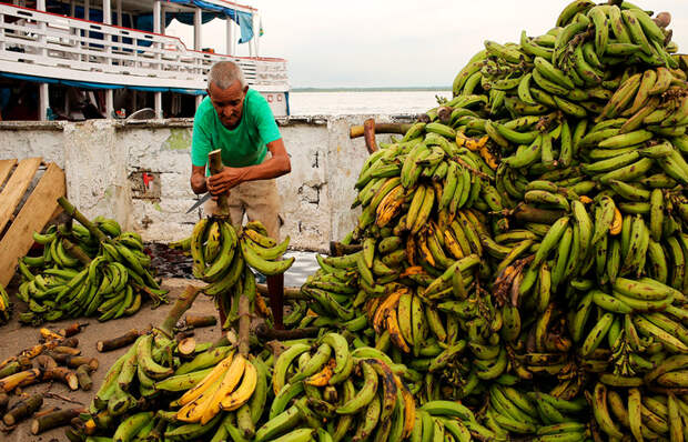 Обработка бананов на судне / Фото: newsland.com