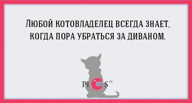 catowner13