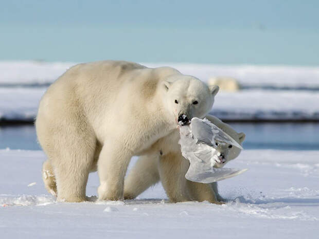 Лучшие фотографии марта от журнала National Geographic