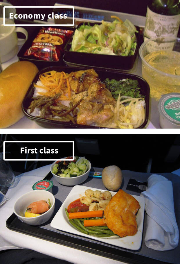 United-airline-food-business-vs-economy-compared