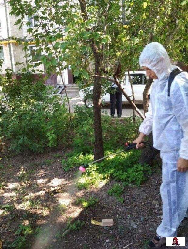 www.vsyako.net