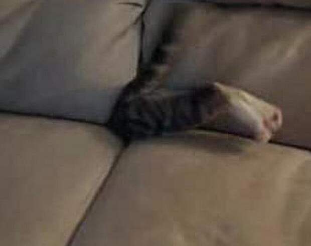 21b2a6bea6c29e4d6ce0bc26c3c027e9-1