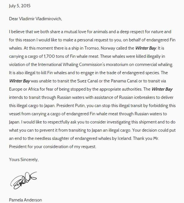 Письмо Памелы Андерсон президенту Путину