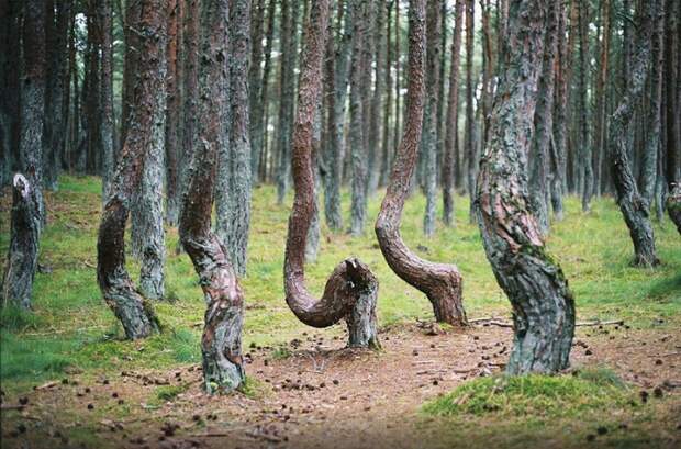 Удивительная Россия: 28 фотографий уникальных природных достопримечательностей, которые нужно увидеть