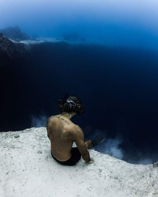 Андре Масгроув (André Musgrove) и его невероятные подводные снимки