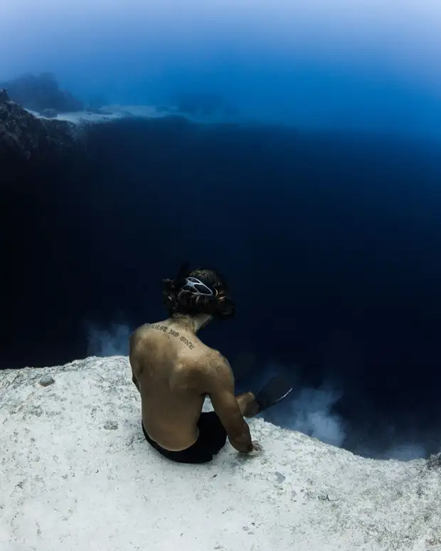 Андре Масгроув (André Musgrove) и его невероятные подводные снимки