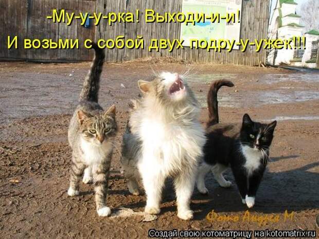 Мысли вслух :)