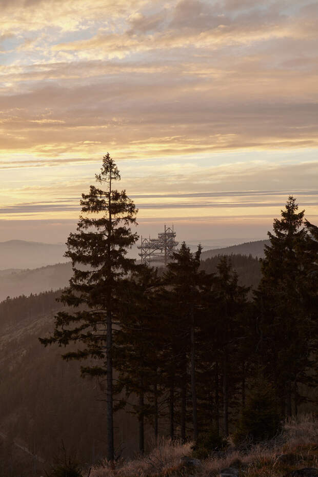 Смотровая площадка с экстремальной горкой в горах Чехии (13 фото) Смотровая площадка с экстремальной горкой в горах Чехии (13 фото)
