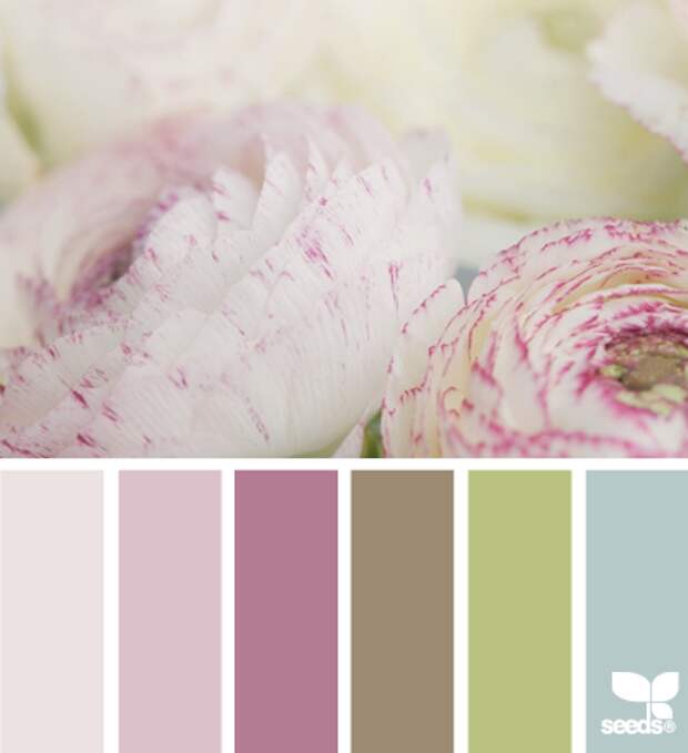 ranunculus tones