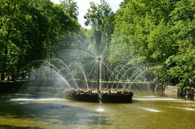 Поездка в Питер Санкт - Петербург, питер, фото отчет