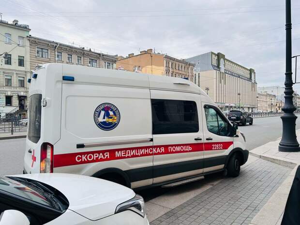 В Петербурге врачи спасают мальчика со вспоротым животом