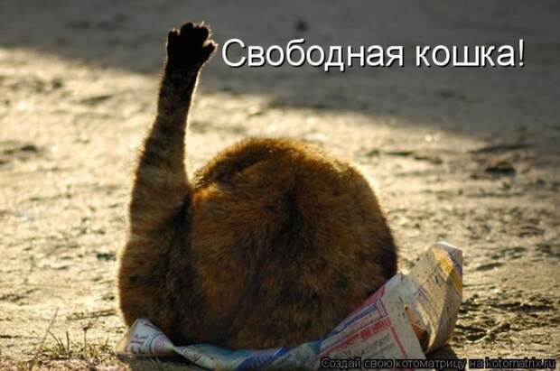 Мысли вслух :)  №25714