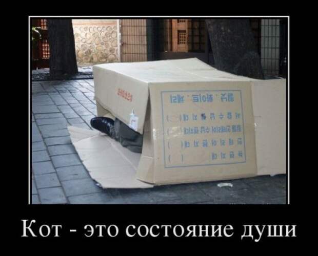 Свежие демотиваторы на Бугаге (13 шт)