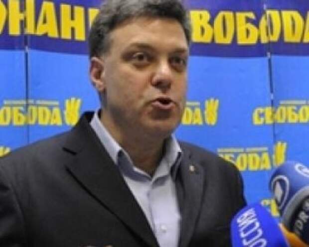Тягныбок заявил о намерениях добить Донбасс и водрузить желто-синий флаг над "руинами Кремля"