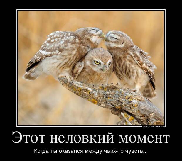 Демотиваторы Демотиваторы