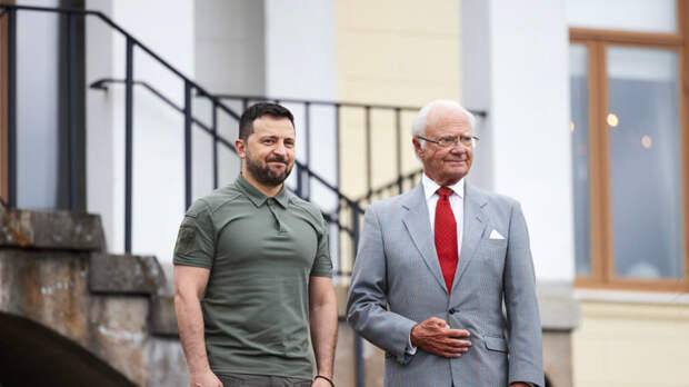 Берн: король Швеции перешёл черту, встретившись с Зеленским