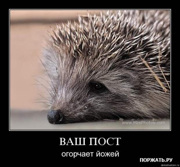Демотиваторы свежак