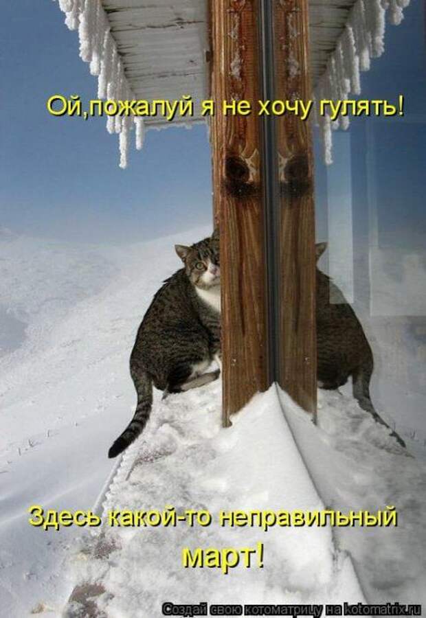 Мысли вслух :)