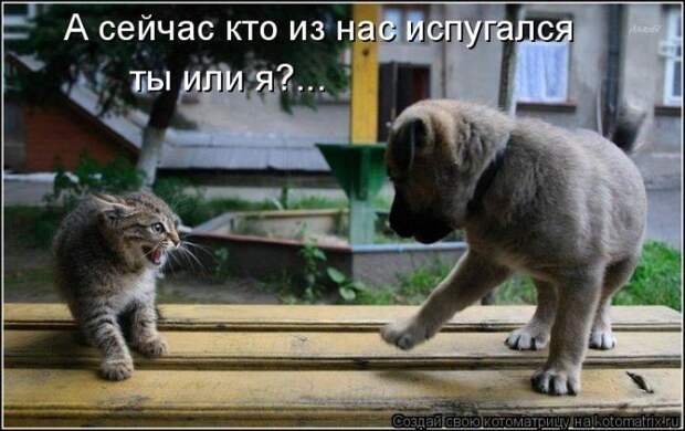 Мысли вслух :)
