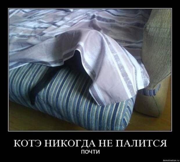 Демки, будет смешно!