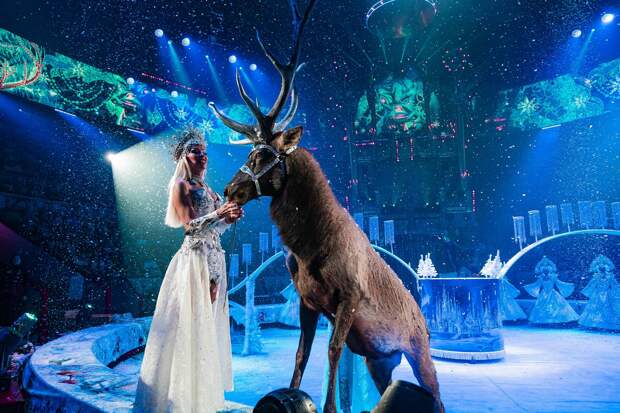 В Петербурге состоялась премьера шоу Гии Эрадзе «Королевский цирк»