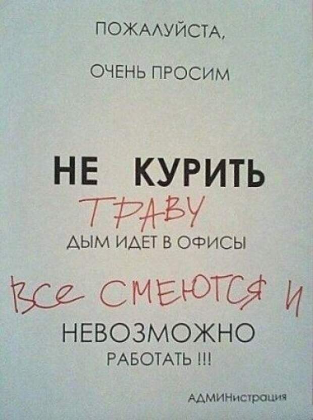 Прикольные картинки для всех (43 шт)