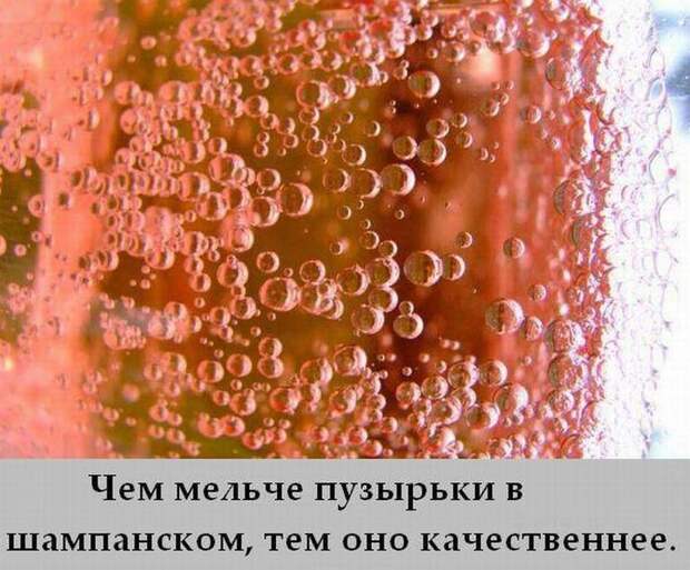 Интересные факты в картинках