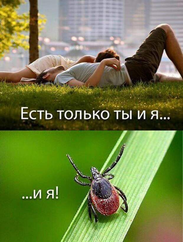 Пост просто юморам позитива! прикол, юмор