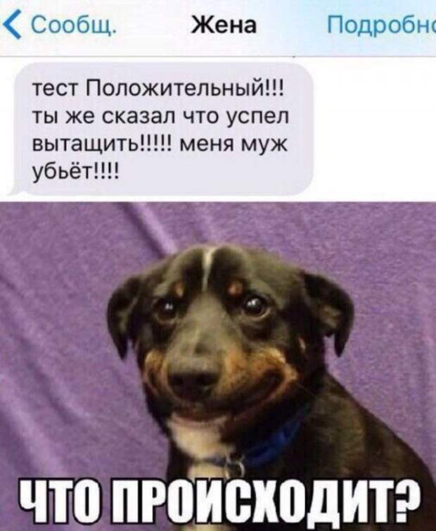Подборка легкого юмора. Часть 6 (36 фото)