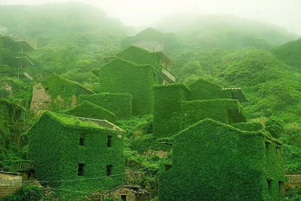 Жутко? Красиво! Жадный лес проглотил заброшенный китайский городок Зелены, в мире, город, китай, лес, природа